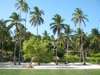 Kinasi Lodge - View